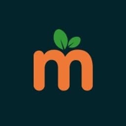 Mandarin Solutions logo