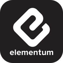 elementum logo
