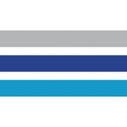 DockMaster logo