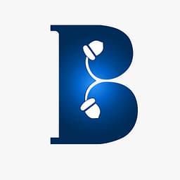 BrandingNuts logo