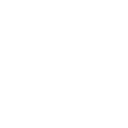 AVADA logo
