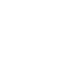 Transvoyant logo