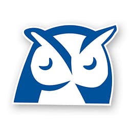 Wise Agent logo