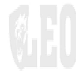 B2B Leo logo