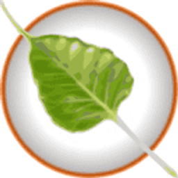 Bodhi logo