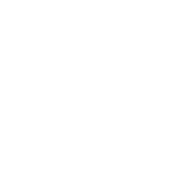 Seldon logo