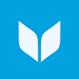 Virtuous Momentum logo