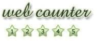 HitWebCounter logo