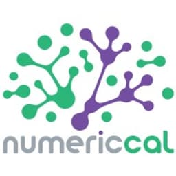 Numericcal logo