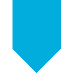 Arcserve ShadowProtect SPX logo