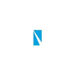 Nvizion Solutions logo