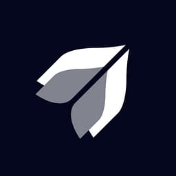 NuovoTeam logo