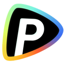 Pollo AI logo