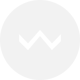 Whyzer logo