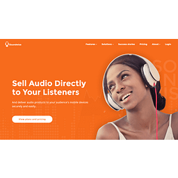 Soundwise logo