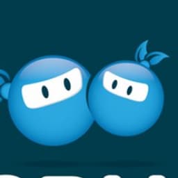 CRMNinjas logo