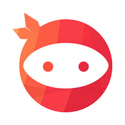 NinjaTeam logo