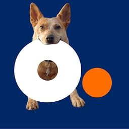 Optimum by Altice logo