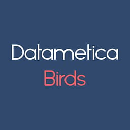 Datametica Pelican – The Data Validator logo
