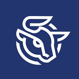 Stellar Platform logo