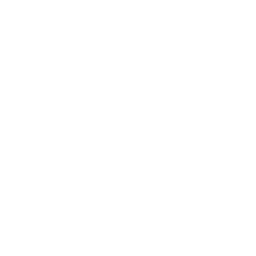 Xebo.ai (formerly Survey2connect) logo