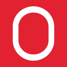 Onlayer Merchant Risk Management logo
