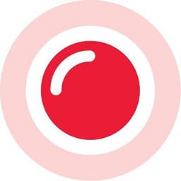 Screen Recordings by Screendesk logo