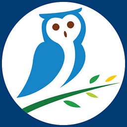 ReleaseOwl for SAP Cloud logo