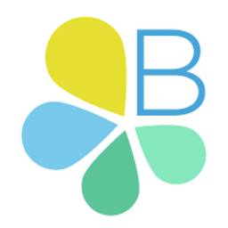 Bloom Validator logo