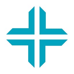 Triumph Networks logo