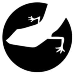 Lizard Global logo