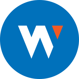 Wiser Solutions logo