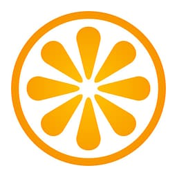 VisitBasis logo