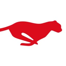 FLS VISITOUR logo