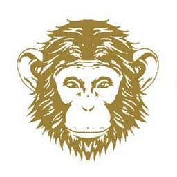 Omneky logo