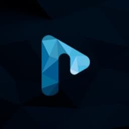 ParadigmNEXT logo