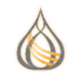 PetroBase logo