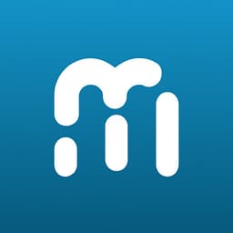 Metric Insights logo