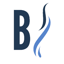 Binfire logo