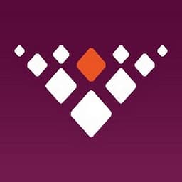 Visulon Visual Assortment logo