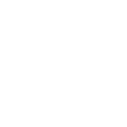 Fuse logo